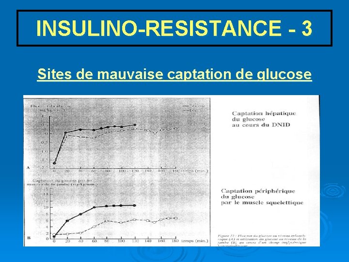 INSULINO-RESISTANCE - 3 Sites de mauvaise captation de glucose 
