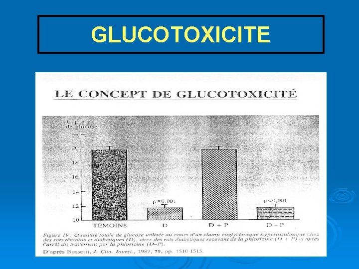 GLUCOTOXICITE 