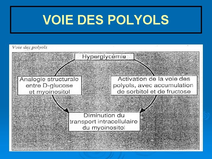 VOIE DES POLYOLS 