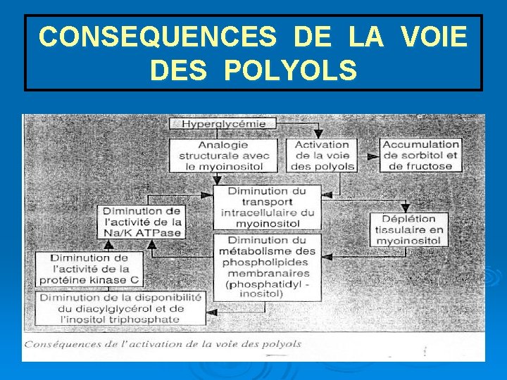 CONSEQUENCES DE LA VOIE DES POLYOLS 