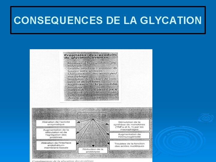 CONSEQUENCES DE LA GLYCATION 