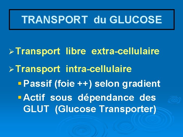 TRANSPORT du GLUCOSE Ø Transport libre extra-cellulaire Ø Transport intra-cellulaire § Passif (foie ++)