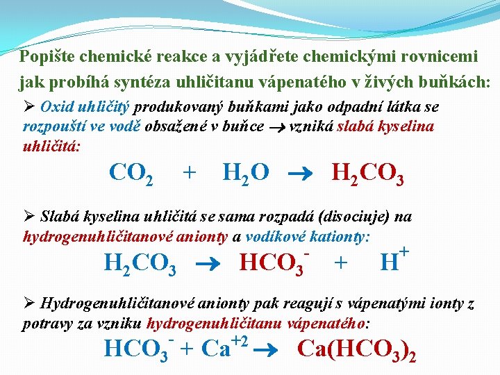 Popište chemické reakce a vyjádřete chemickými rovnicemi jak probíhá syntéza uhličitanu vápenatého v živých Popište chemické reakce a vyjádřete chemickými rovnicemi jak probíhá syntéza uhličitanu vápenatého v živých