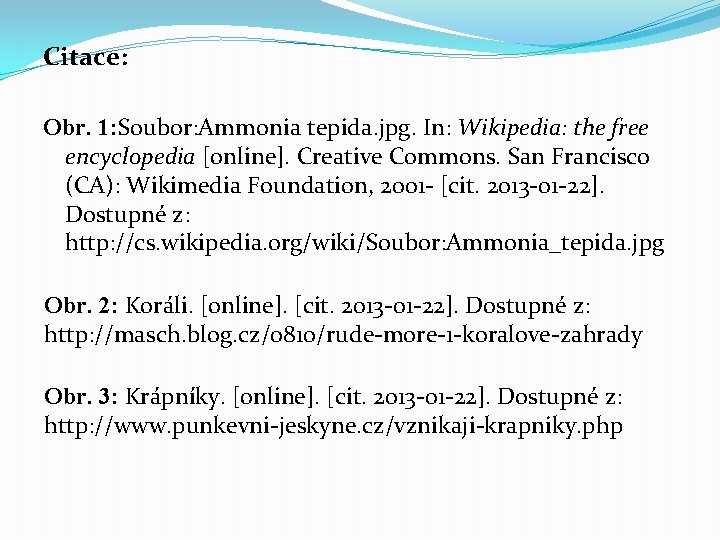 Citace: Obr. 1: Soubor: Ammonia tepida. jpg. In: Wikipedia: the free encyclopedia [online]. Creative