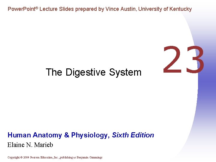 Power. Point® Lecture Slides prepared by Vince Austin, University of Kentucky The Digestive System