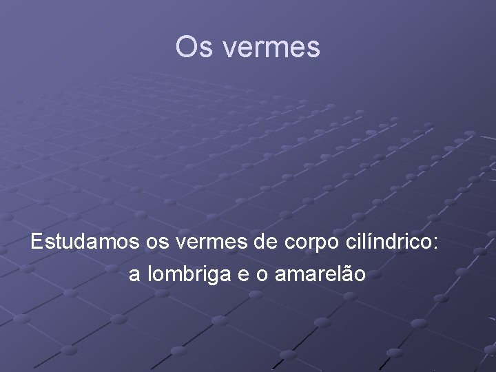 Os vermes Estudamos os vermes de corpo cilíndrico: a lombriga e o amarelão 