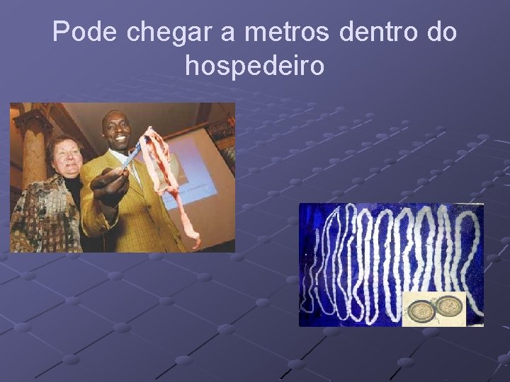 Pode chegar a metros dentro do hospedeiro 