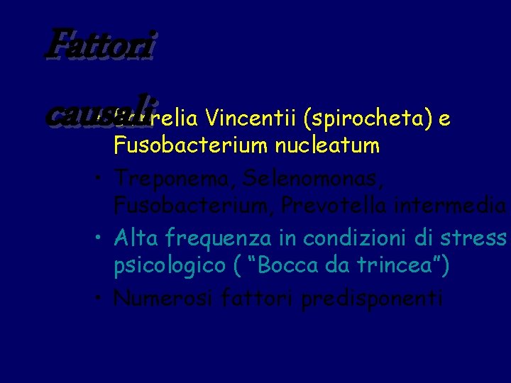 Fattori causali • Borrelia Vincentii (spirocheta) e Fusobacterium nucleatum • Treponema, Selenomonas, Fusobacterium, Prevotella