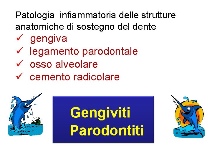 Patologia infiammatoria delle strutture anatomiche di sostegno del dente ü ü gengiva legamento parodontale
