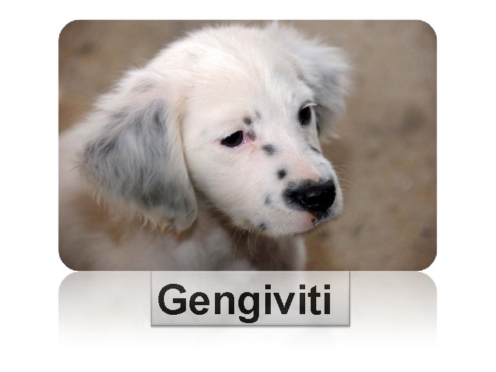 Gengiviti 