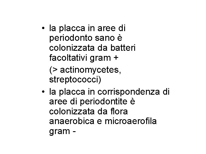  • la placca in aree di periodonto sano è colonizzata da batteri facoltativi