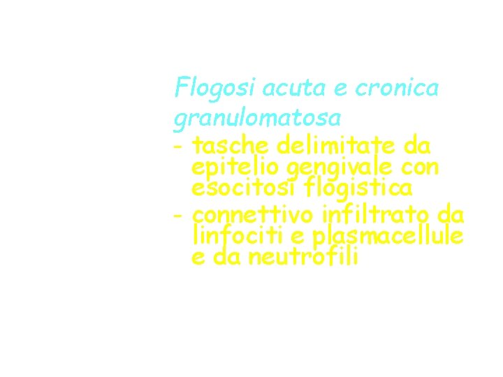 Istologia aspecifica Flogosi acuta e cronica granulomatosa - tasche delimitate da epitelio gengivale con