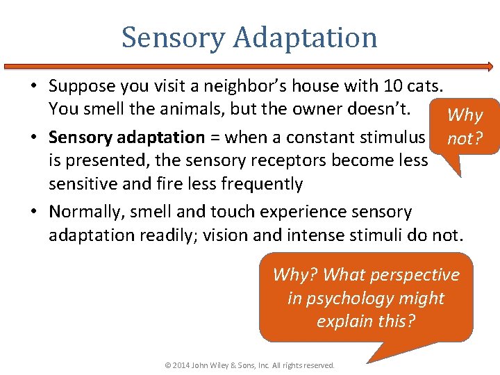 Sensory Adaptation • Suppose you visit a neighbor’s house with 10 cats. You smell