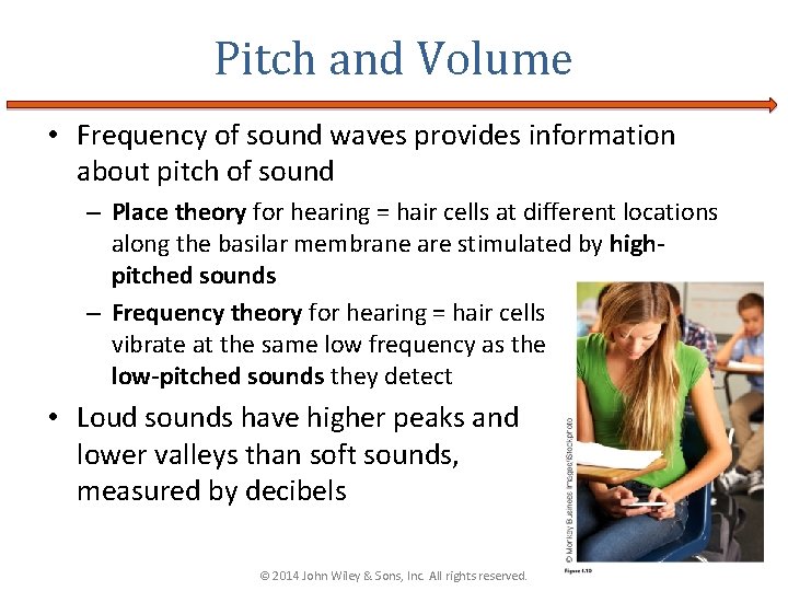 Pitch and Volume • Frequency of sound waves provides information about pitch of sound