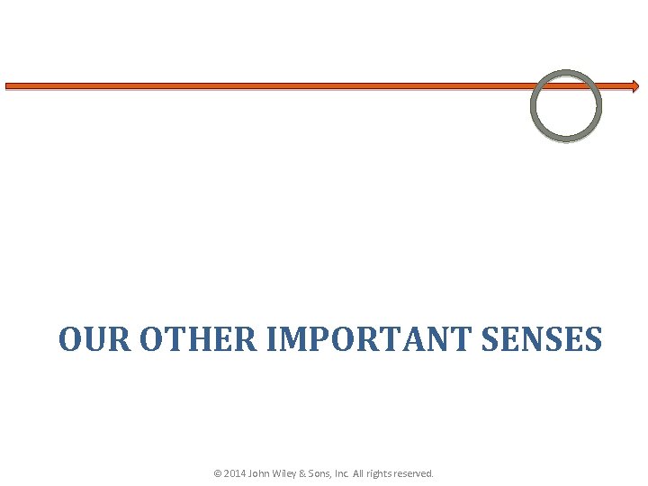 OUR OTHER IMPORTANT SENSES © 2014 John Wiley & Sons, Inc. All rights reserved.