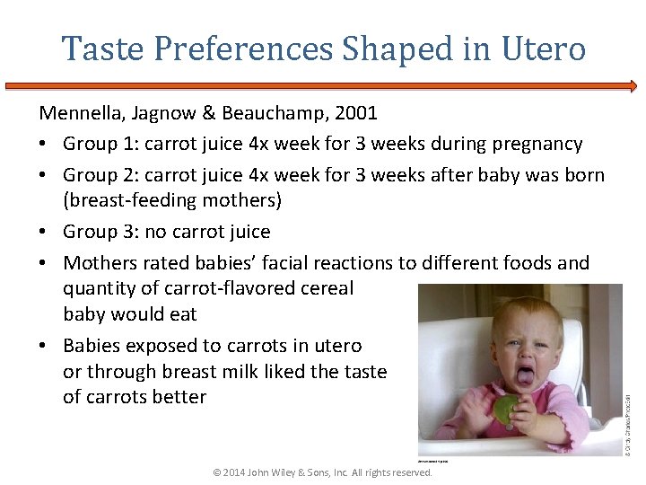 Taste Preferences Shaped in Utero Mennella, Jagnow & Beauchamp, 2001 • Group 1: carrot