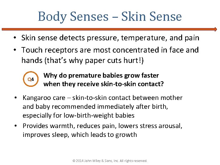 Body Senses – Skin Sense • Skin sense detects pressure, temperature, and pain •