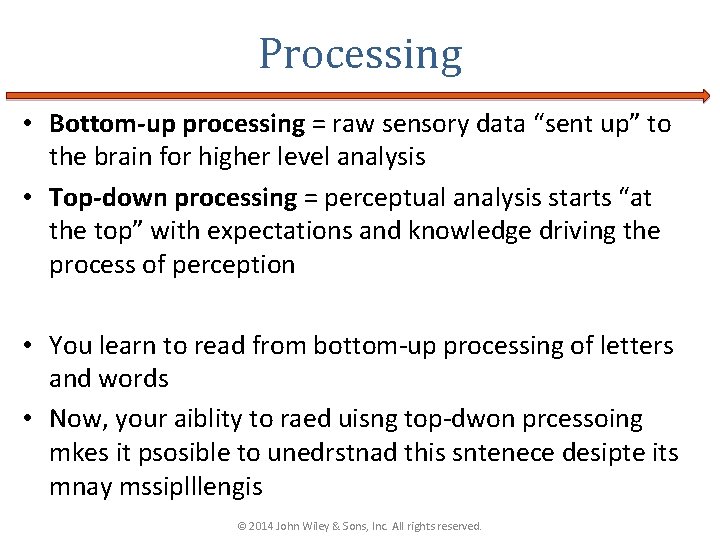 Processing • Bottom-up processing = raw sensory data “sent up” to the brain for