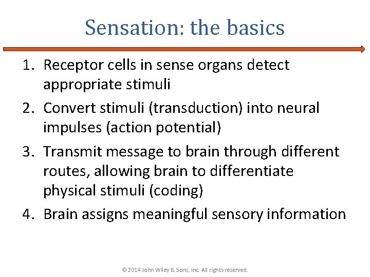 Sensation: the basics 1. Receptor cells in sense organs detect appropriate stimuli 2. Convert