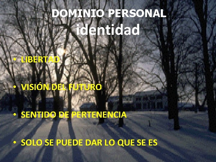 DOMINIO PERSONAL identidad • LIBERTAD • VISIÓN DEL FUTURO • SENTIDO DE PERTENENCIA •