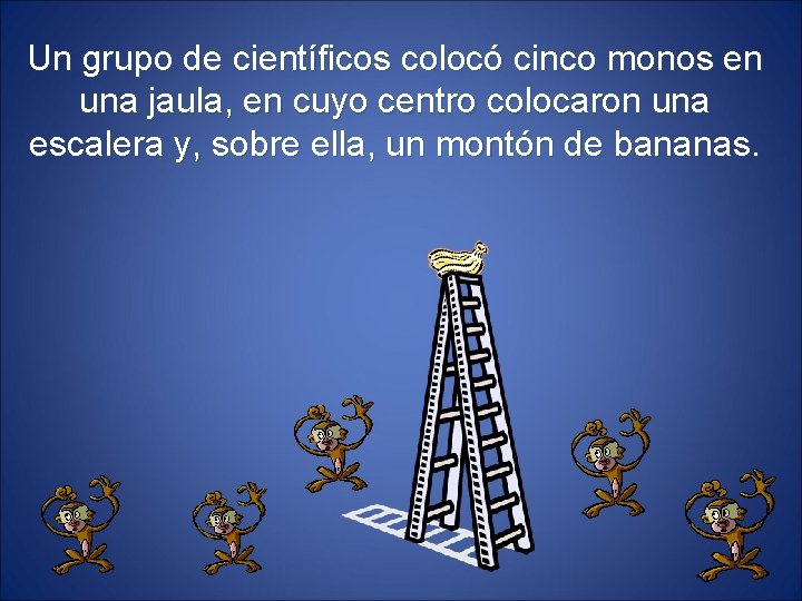 Un grupo de científicos colocó cinco monos en una jaula, en cuyo centro colocaron