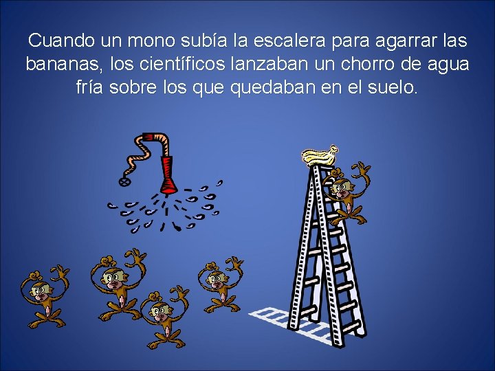 Cuando un mono subía la escalera para agarrar las bananas, los científicos lanzaban un