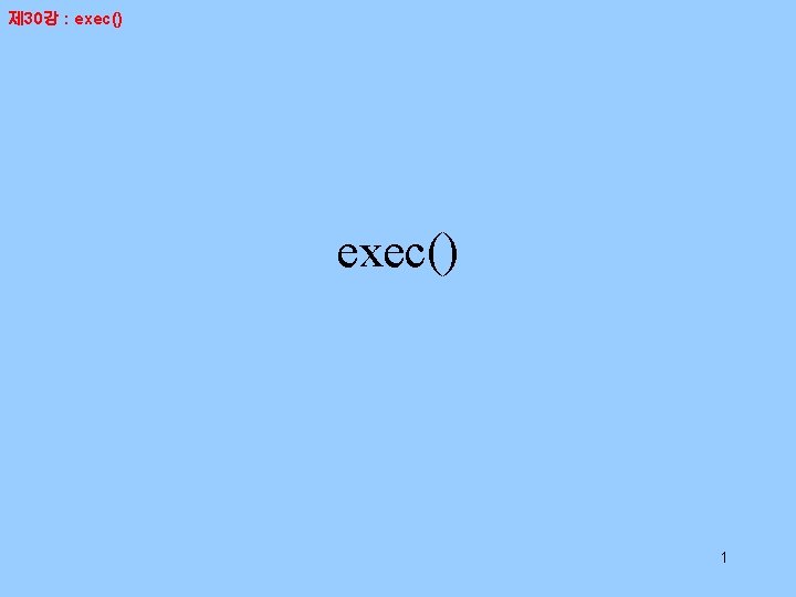 제 30강 : exec() 1 제 30강 : exec() 1