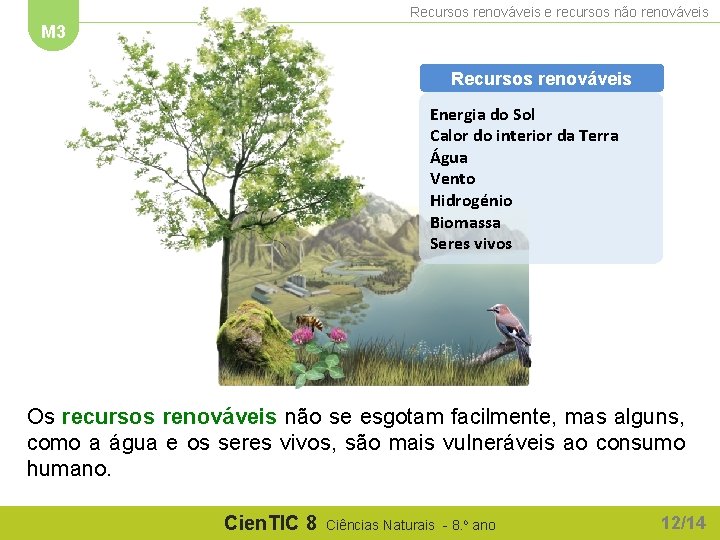 Recursos renováveis e recursos não renováveis M 3 Recursos renováveis Energia do Sol Calor