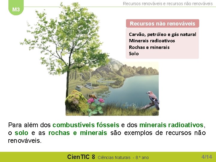 Recursos renováveis e recursos não renováveis M 3 Recursos não renováveis Carvão, petróleo e