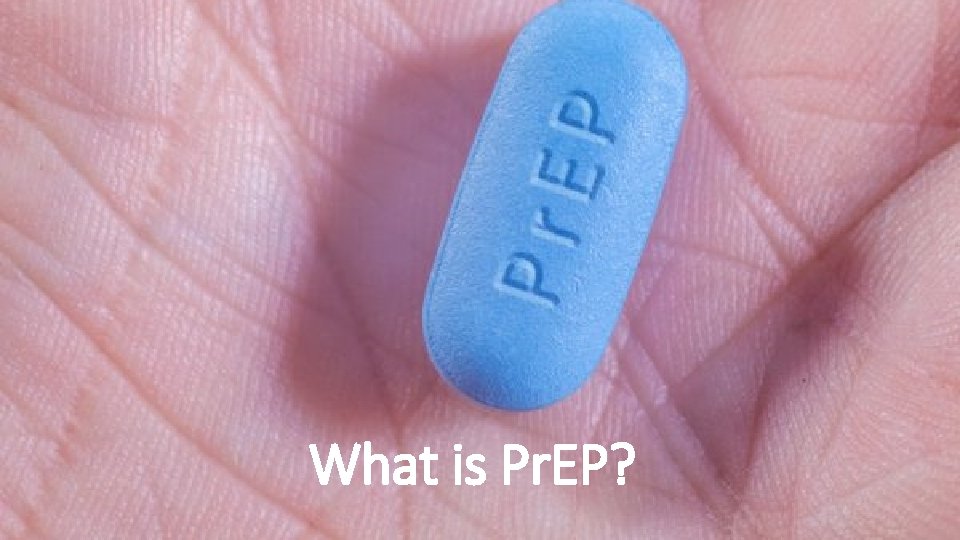 What is Pr. EP? What is Pr. EP?