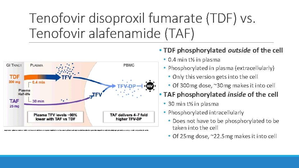 Tenofovir disoproxil fumarate (TDF) vs. Tenofovir alafenamide (TAF) • TDF phosphorylated outside of the Tenofovir disoproxil fumarate (TDF) vs. Tenofovir alafenamide (TAF) • TDF phosphorylated outside of the