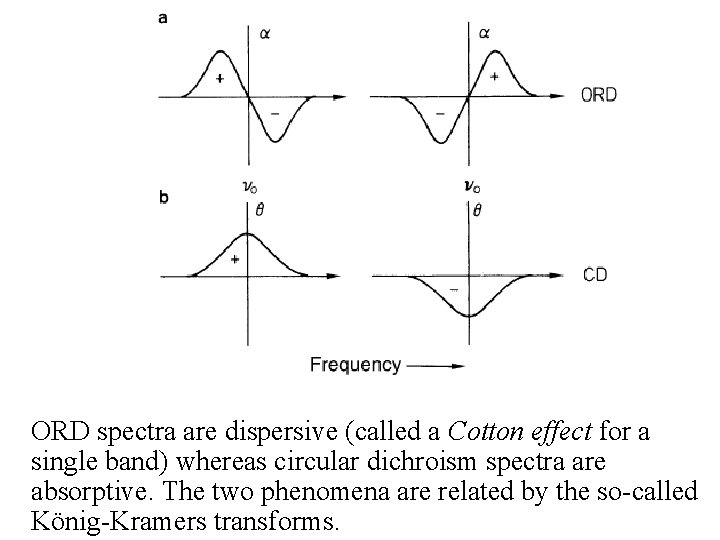 ORD spectra are dispersive (called a Cotton effect for a single band) whereas circular