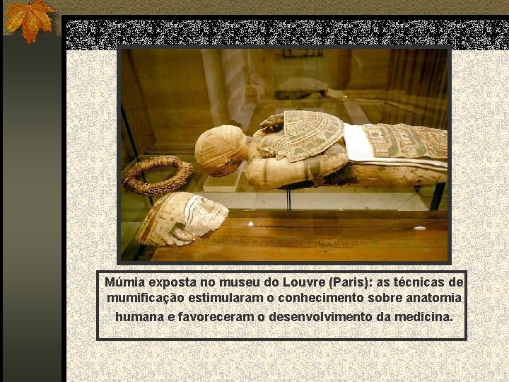 Múmia exposta no museu do Louvre (Paris): as técnicas de mumificação estimularam o conhecimento