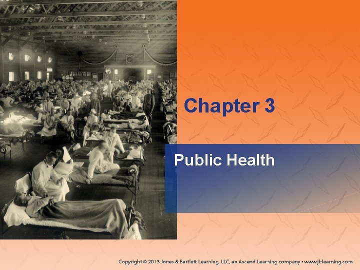 Chapter 3 Public Health 