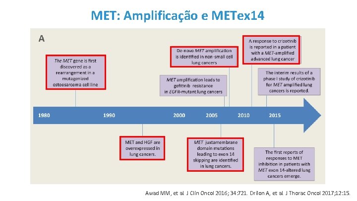 MET: Amplificação e METex 14 Awad MM, et al. J Clin Oncol 2016; 34:
