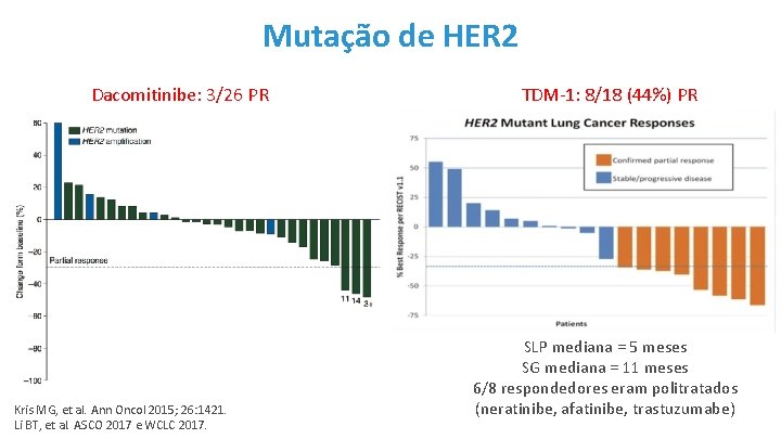 Mutação de HER 2 Dacomitinibe: 3/26 PR Kris MG, et al. Ann Oncol 2015;