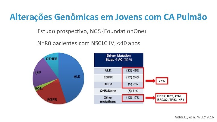 Alterações Genômicas em Jovens com CA Pulmão Estudo prospectivo, NGS (Foundation. One) N=80 pacientes