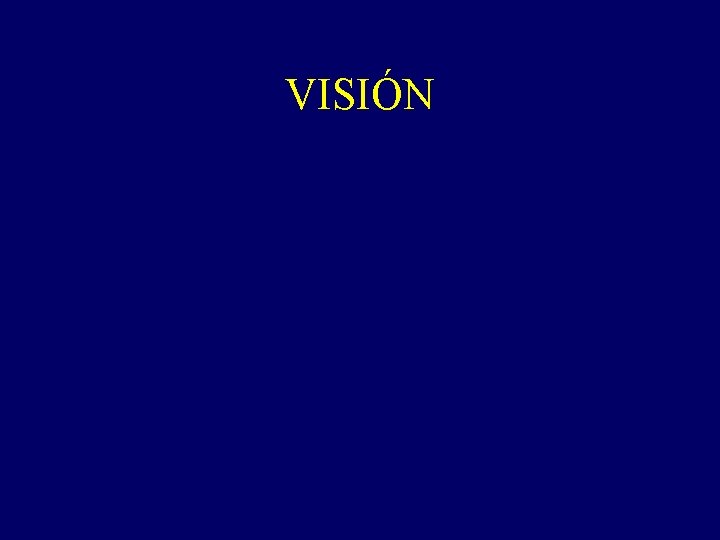 VISIÓN 