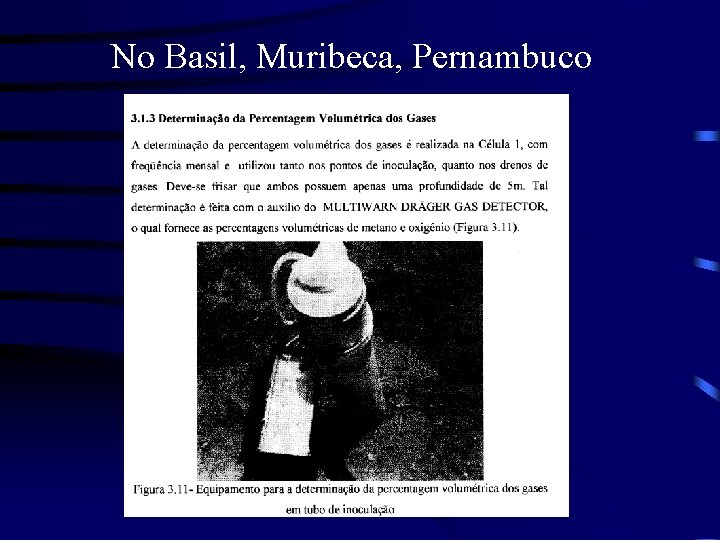 No Basil, Muribeca, Pernambuco 