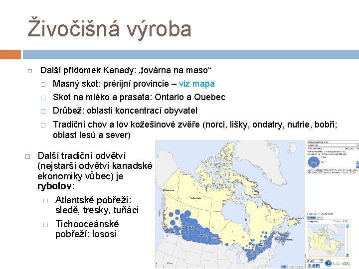 Živočišná výroba Další přídomek Kanady: „továrna na maso“ Masný skot: prérijní provincie – viz