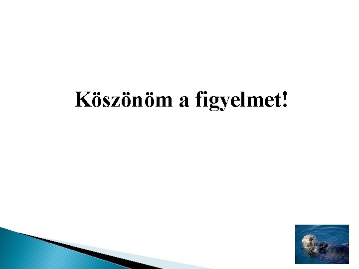 Köszönöm a figyelmet! 