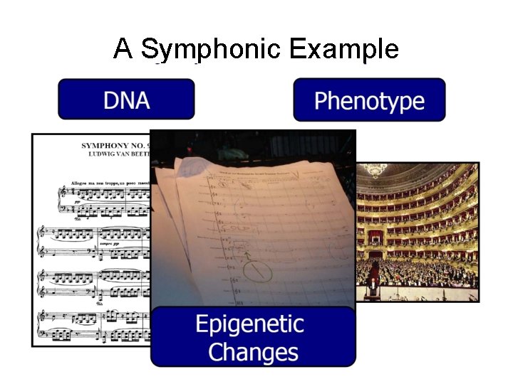 A Symphonic Example 