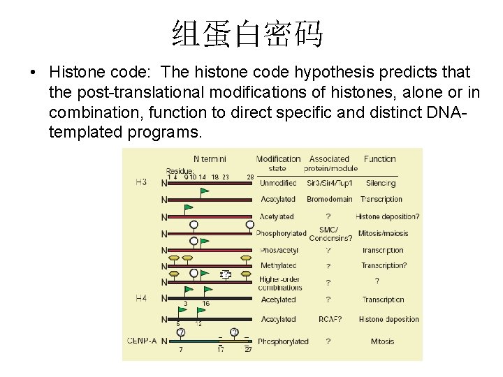 组蛋白密码 • Histone code: The histone code hypothesis predicts that the post-translational modifications of