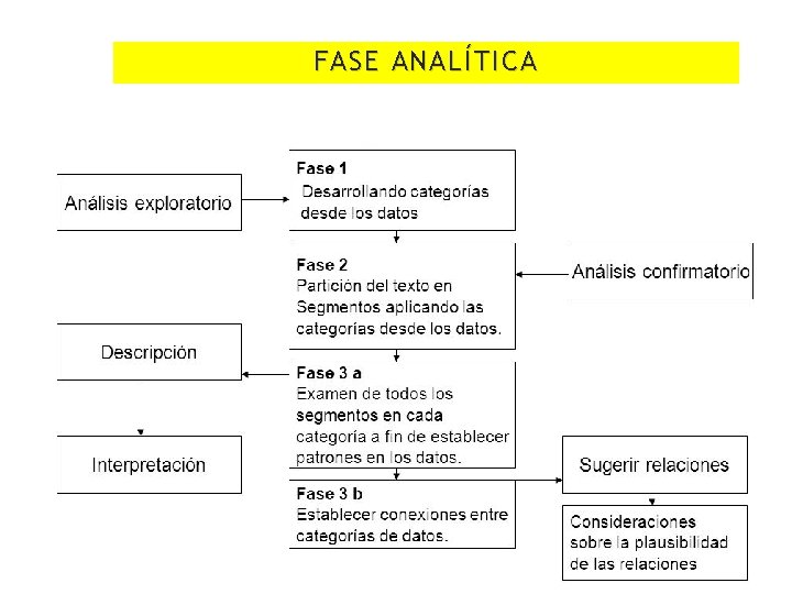 FASE ANALÍTICA 