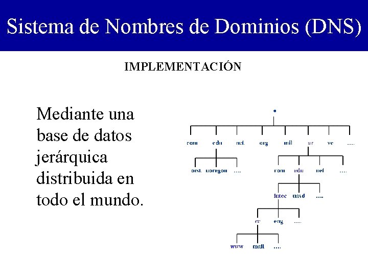 Sistema de Nombres de Dominios (DNS) IMPLEMENTACIÓN Mediante una base de datos jerárquica distribuida