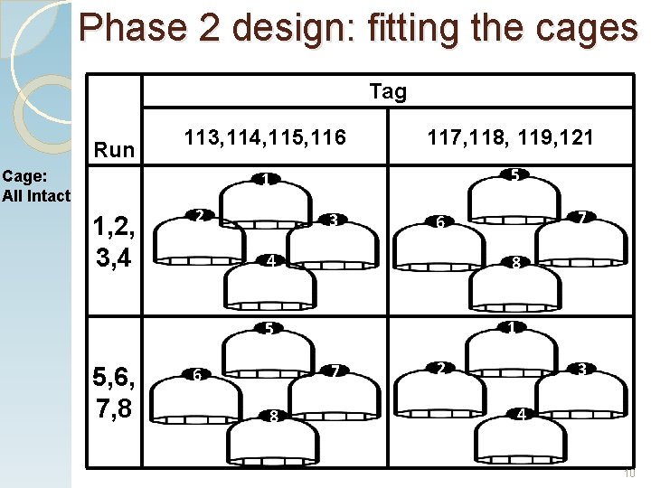 Phase 2 design: fitting the cages Tag Run Cage: All Intact 1, 2, 3,