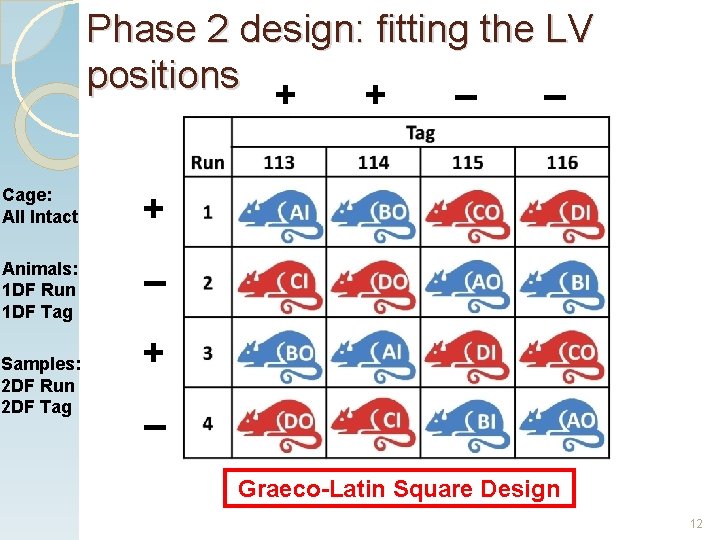 Phase 2 design: fitting the LV positions + + – – Cage: All Intact