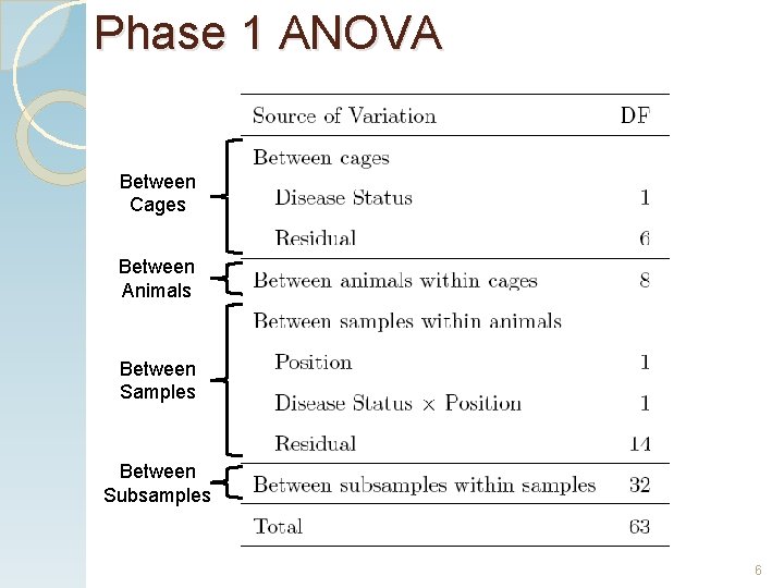 Phase 1 ANOVA Between Cages Between Animals Between Samples Between Subsamples 6 