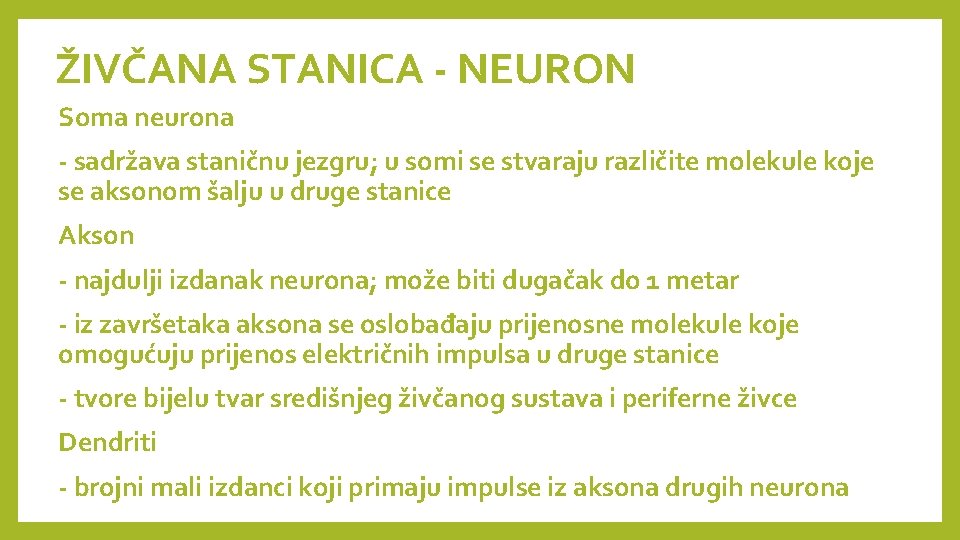 ŽIVČANA STANICA - NEURON Soma neurona - sadržava staničnu jezgru; u somi se stvaraju