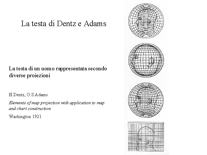 La testa di Dentz e Adams La testa di un uomo rappresentata secondo diverse